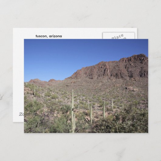 Cactus Landschap Briefkaart (Voorkant / Achterkant)