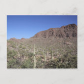 Cactus Landschap Briefkaart (Voorkant)