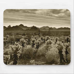 Cactus Landschap Muismat