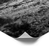 Cactus landschap poster (Hoek)