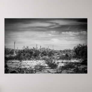 Cactus landschap poster