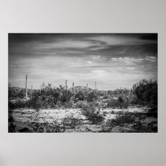 Cactus landschap poster