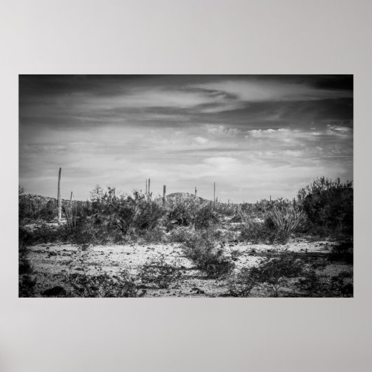 Cactus landschap poster (Voorkant)