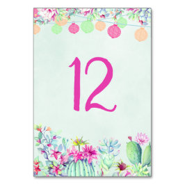 Cactus lantaarn Fiesta Succulenten Tafelnummer