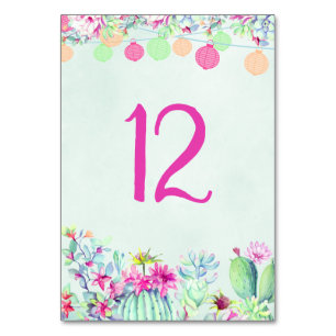 Cactus lantaarn Fiesta Succulenten Tafelnummer