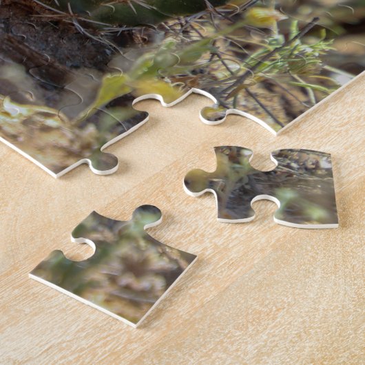 cactus legpuzzel (Zijkant)