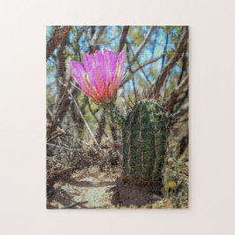 cactus legpuzzel