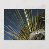 cactus maatje #1 briefkaart (Voorkant)