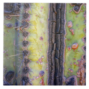 Cactus Macro Ceramic Tile Tegeltje