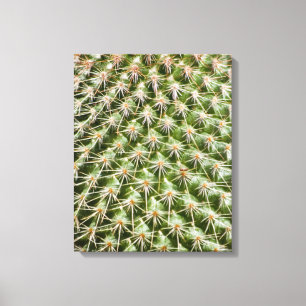 Cactus Macro fotografie Canvas Afdruk