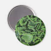 Cactus Magneet (Voorkant / Achterkant)