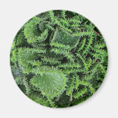 Cactus Magneet (Voorkant)