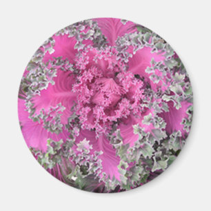 Cactus Magneet