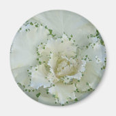 Cactus Magneet (Voorkant)