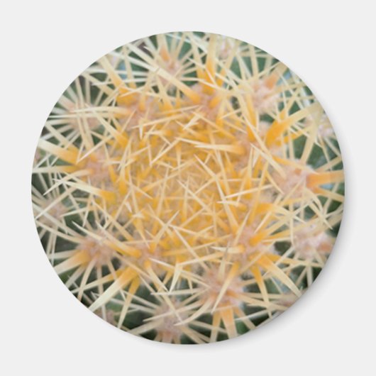 Cactus Magneet (Voorkant)