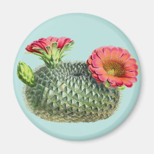 Cactus Magneet