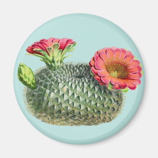 Cactus Magneet (Voorkant)