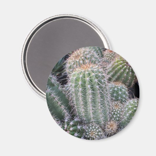 Cactus Magneet (Voorkant / Achterkant)
