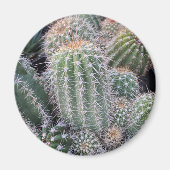 Cactus Magneet (Voorkant)