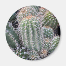 Cactus Magneet