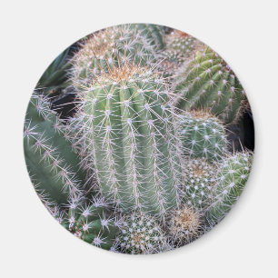 Cactus Magneet