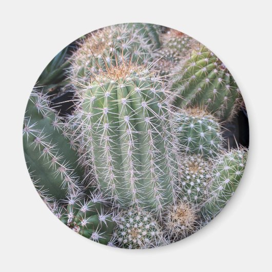Cactus Magneet (Voorkant)