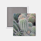 Cactus Magneet (Voorkant / Achterkant)