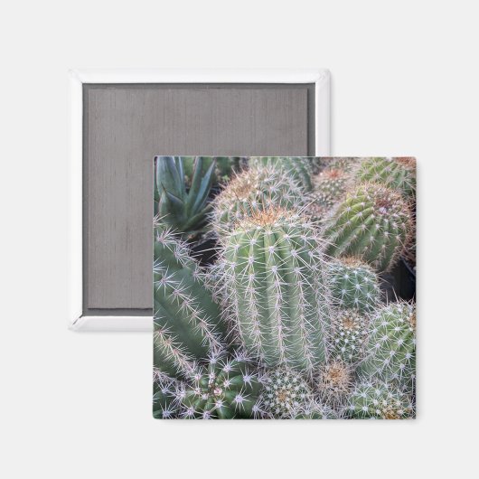 Cactus Magneet (Voorkant / Achterkant)