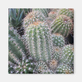 Cactus Magneet (Voorkant)