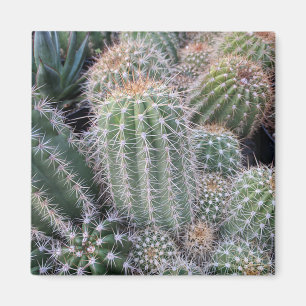 Cactus Magneet