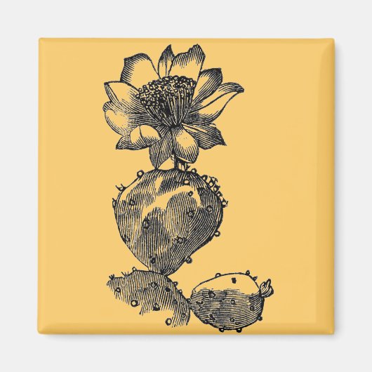Cactus Magnet (Voorkant)