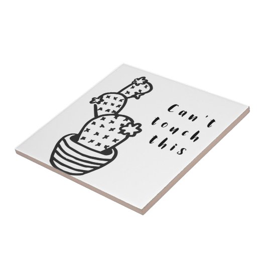 Cactus met antiaanraking tegeltje (Zijkant)