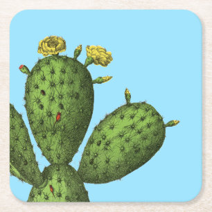 Cactus met gele bloemen kartonnen onderzetters