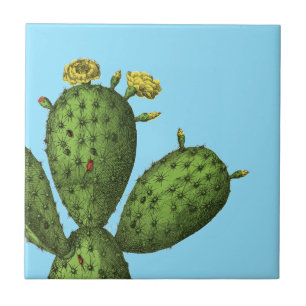 Cactus met gele bloemen tegeltje