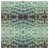 Cactus met groene loop stof (Swatch)
