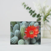 Cactus met Oranje ventilator Briefkaart (Staand voorkant)