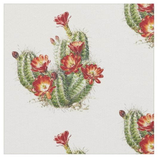 Cactus met rode bloemen stof (Close Up)
