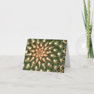 Cactus met stervormige stekels feestdagen kaart