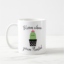 Cactus mok 'Bloei waar je geplant bent'
