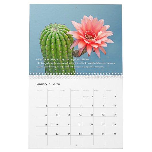 Cactus Monthly Desert Plant Inspiration Kalender (Jan 2026)