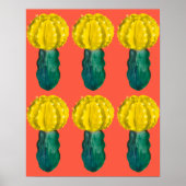 Cactus, Moon Cactus, Green Yellow Sinaasappel Poster (Voorkant)