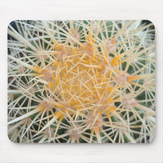 Cactus Muismat (Voorkant)