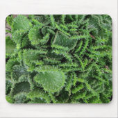 Cactus Muismat (Voorkant)