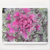 Cactus Muismat (Voorkant)