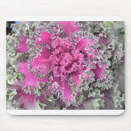 Cactus Muismat (Voorkant)