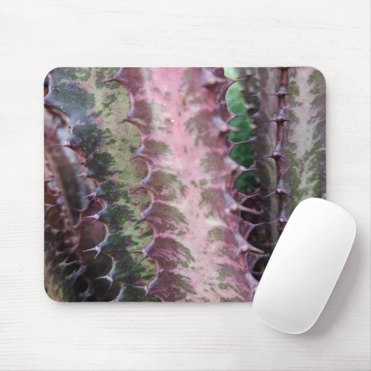 Cactus Muismat (Met muis)