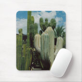 Cactus Muismat (Met muis)
