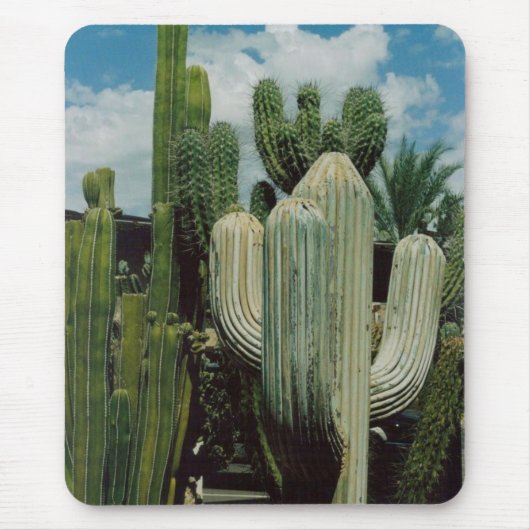 Cactus Muismat (Voorkant)