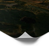 Cactus Night Lights Poster (Hoek)