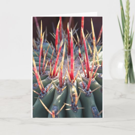 Cactus notecard kaart (Voorkant)